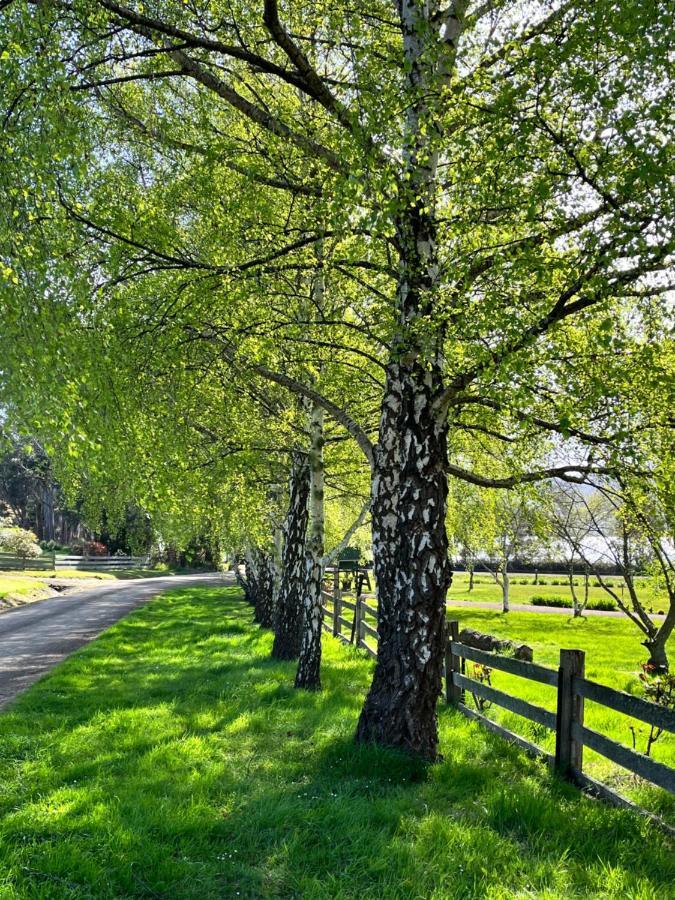 Cygnet Green Gables B&B מראה חיצוני תמונה