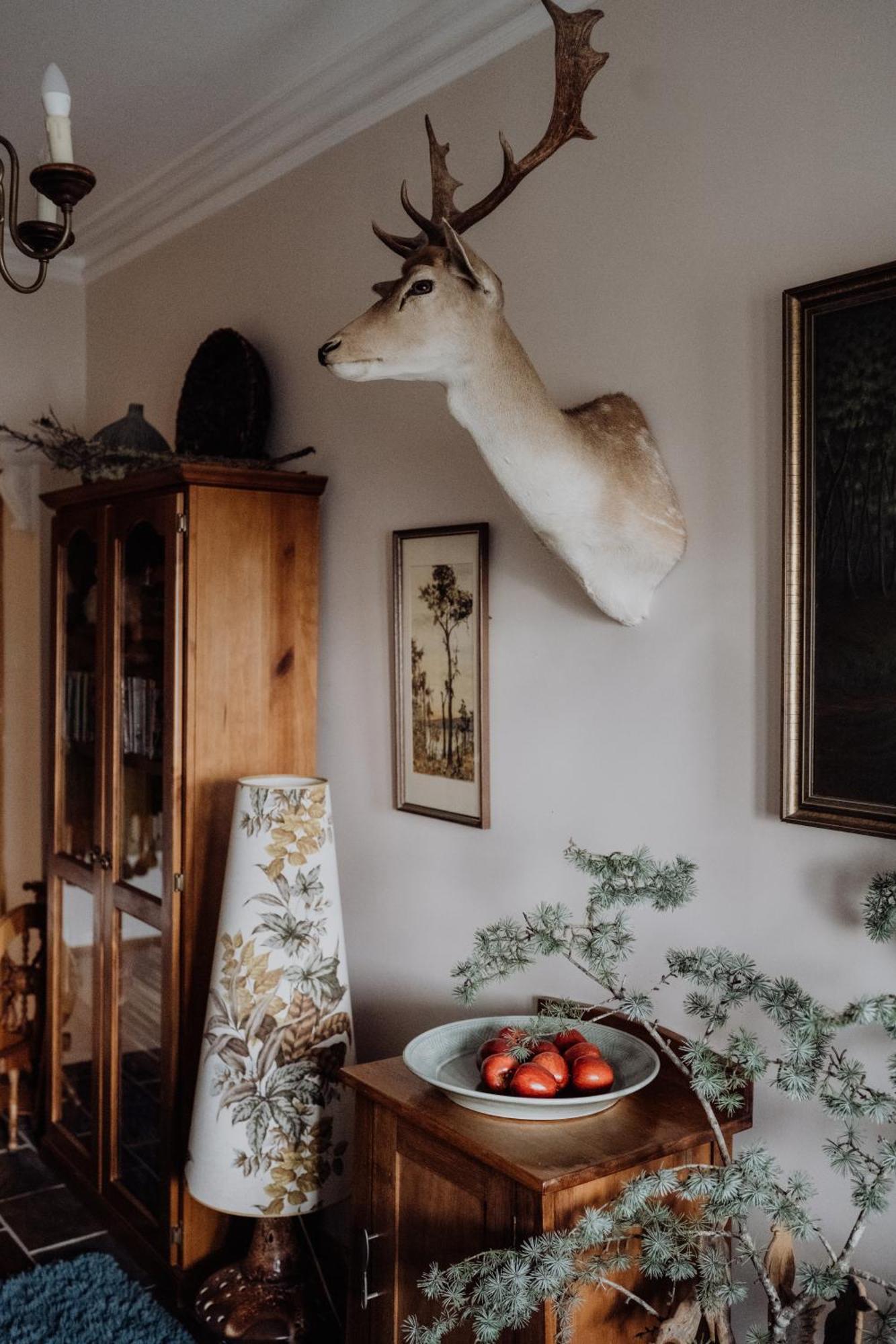 Cygnet Green Gables B&B מראה חיצוני תמונה