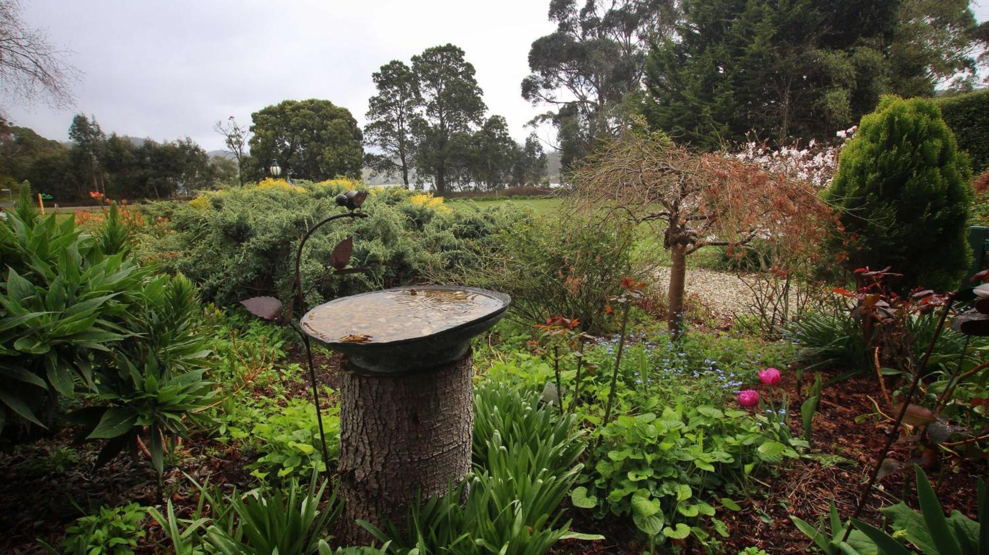 Cygnet Green Gables B&B מראה חיצוני תמונה