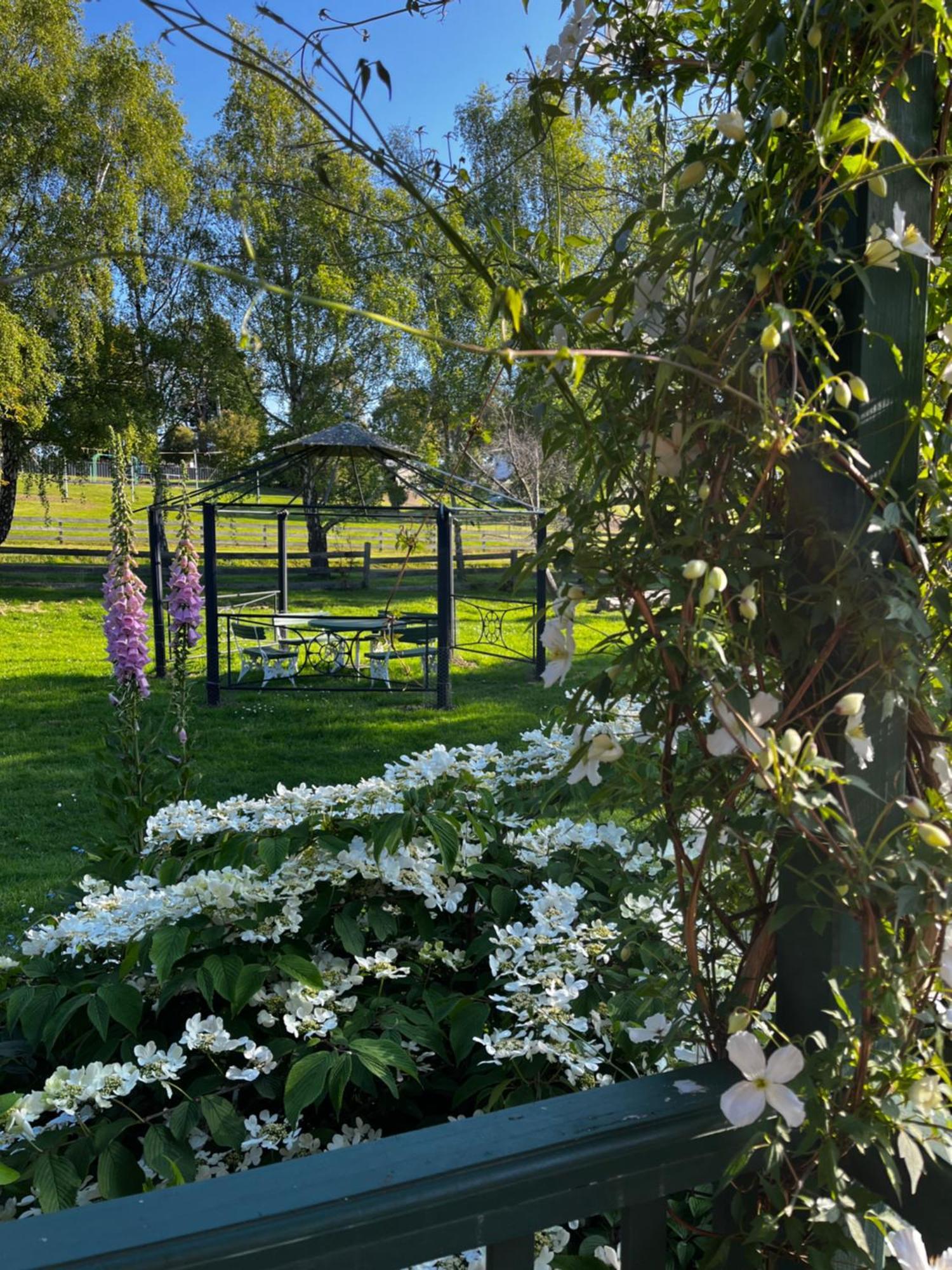 Cygnet Green Gables B&B מראה חיצוני תמונה